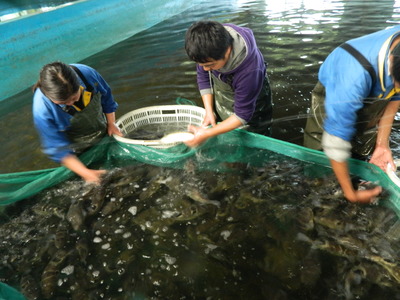海安 以特色農(nóng)業(yè)為基，串起旅游開發(fā)協(xié)同發(fā)展鏈